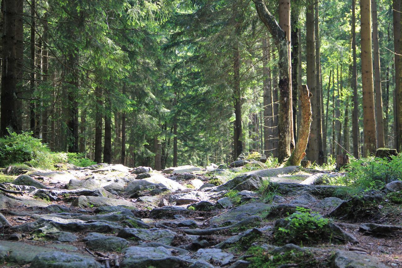 Wohlfuehlort In Der Ferienresidenz Wurmbergblick Lejlighed Braunlage Eksteriør billede